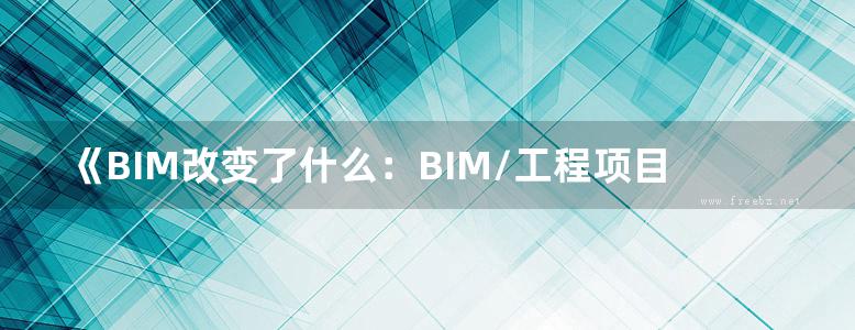 《BIM改变了什么：BIM/工程项目管理》商大勇 